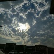 C Todd's photo