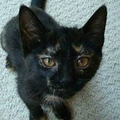 Cyndi Lieske's photo