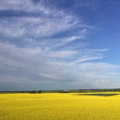 Photo de Jeena Schön