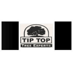 Tip Top Tree Expert LLC