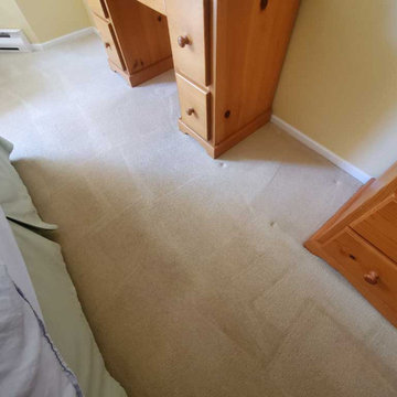 Steam Cleaning Two Bedroom Condo and Area Rug Condo Coquitlam BC Canada