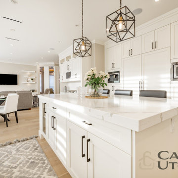 Complete Kitchen Remodel in Los Gatos