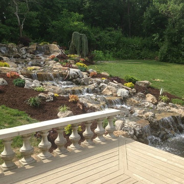 Pond Paradise Designs assorted photos