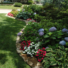 Landscape Ideas
