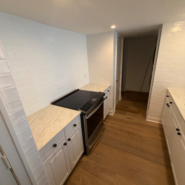 Printers Row Renovation
