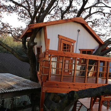 Whimsical Tree House