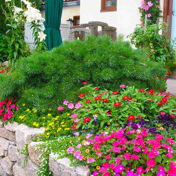 Container Gardens