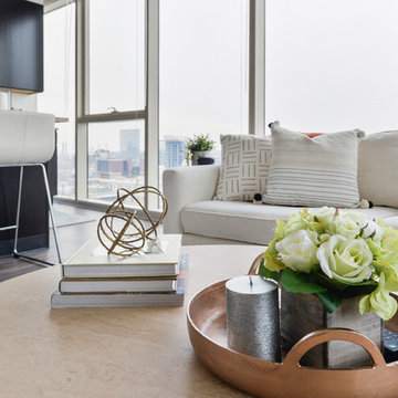 Chestnut Street Downtown Philly Apartment Interior Design