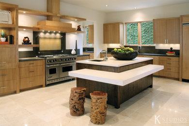 Kitchen - contemporary kitchen idea in Houston