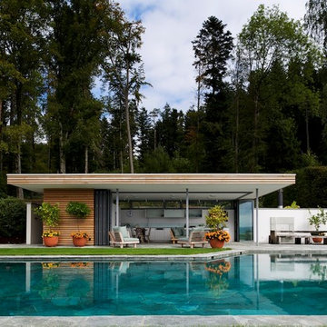 Contemporary Pool