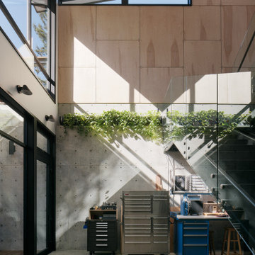 House of Light and Shadow