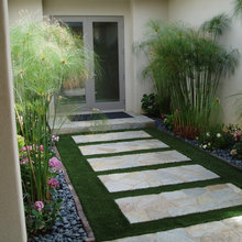 Drought Landscaping