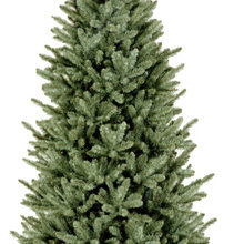 Christmas Trees