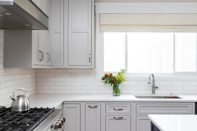 Design ideas for a kitchen in DC Metro.