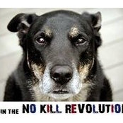Nathan Menken's photo