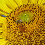 Randy King's photo