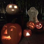Chris Halstead's photo