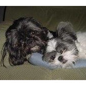 Lillie Franklin's photo