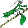 ABROCK PEST MANAGEMENT's profile photo