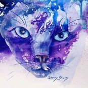 Foto von Sherry Shipley