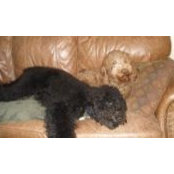 Prudence Dvorsky's photo
