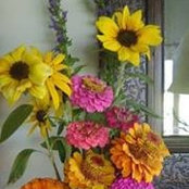 Renee Tarnowski's photo
