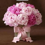 Marmar Marjan Nili's photo