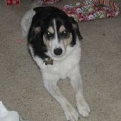 Jennifer Weamer Vrooman's photo