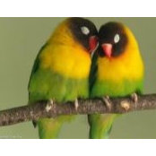 Barbara Hysaw's photo