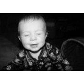 David Doyle's photo