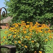 Mary Thurmond's photo