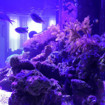 DSA Rimless Aquarium