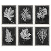 Foliage Framed Prints, Set of 6, by designer Grace Feyock