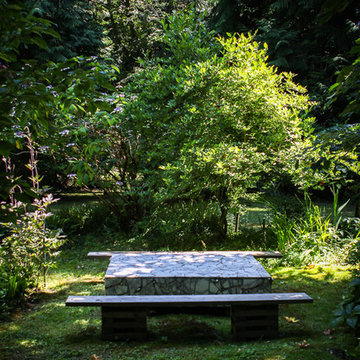 A Forest Oasis on Whidbey Island