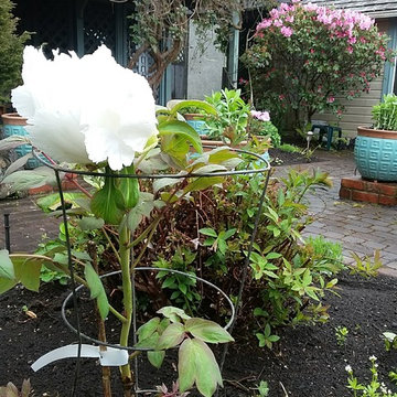 Secret Garden Renovation