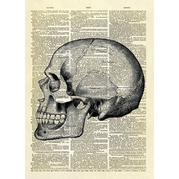 Human Skull Side View Dictionary Art Print, Black