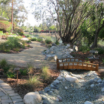 Fullerton Native/Low Water Front Yard
