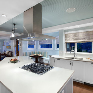 Modern Shaker Kitchen (Project 970)