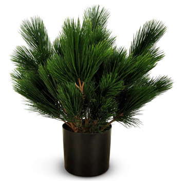 Faux Botanical Pinus in Green 22"H