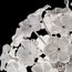 Lotus Murano Glass Chandelier