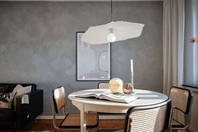 Dining room - contemporary dining room idea in Other