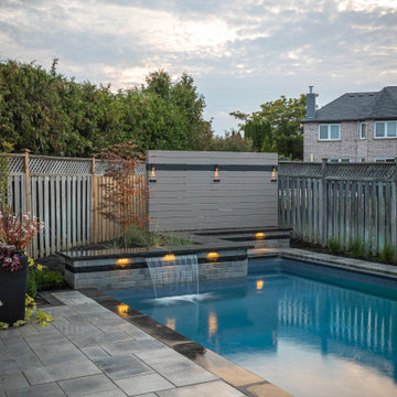 Mississauga Residence - Back Yard