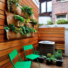 small deck / yard