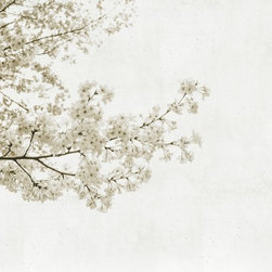 RANDOM PAPERS - Tapestries
