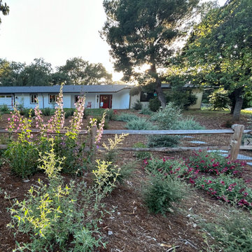 Encinitas Pollinator Garden
