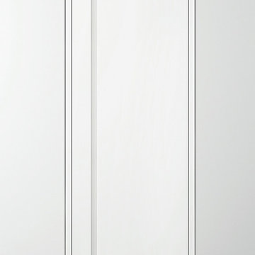 Modern Style Door FL.021