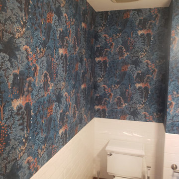 CHicago Lakeview.  Old wallpaper removal and new wallpaper installation
