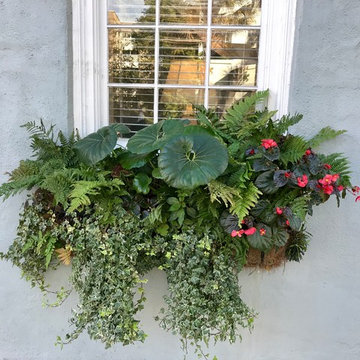 Southern Window Boxes