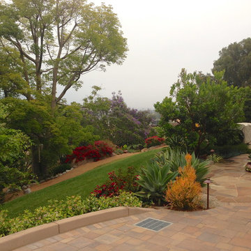 Design Build: Vista Botanical Home