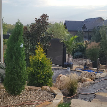 2025 Garden Highlights